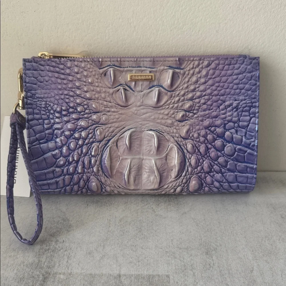 Brahmin daisy very